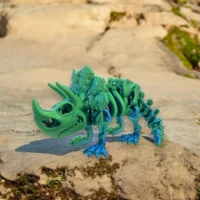 IMG_5253 Tricératops en 3D de la collection des Wigzzy