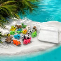 IMG_5542 petit pack de wigzzy