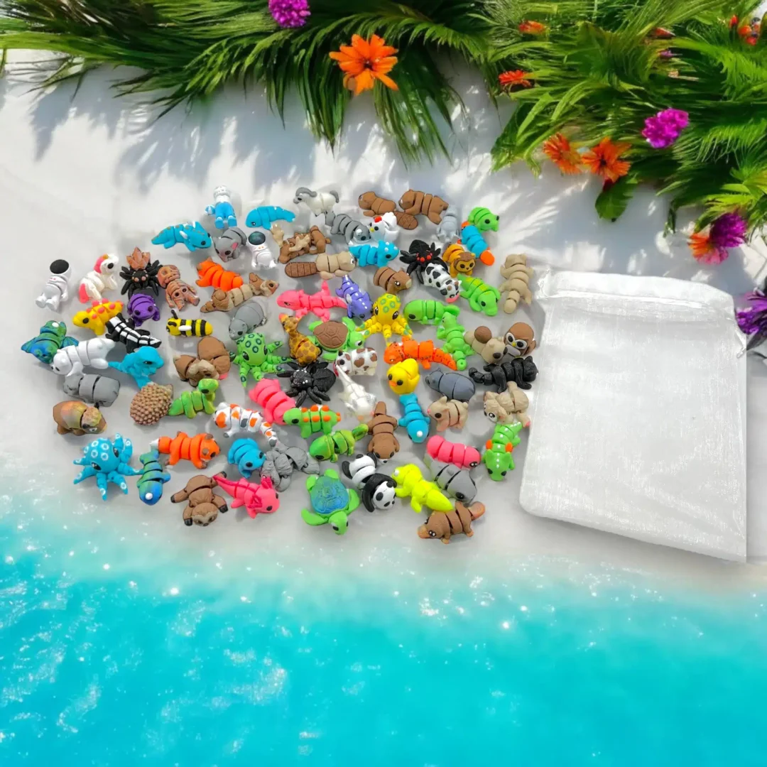 IMG_5548 grand pack de wigzzy