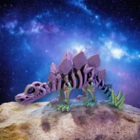 Photoroom_20240818_214920 Squelette de Stégosaures