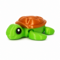 tortue