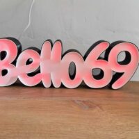 319390063_930633067919362_3784158510301115107_n Prénoms lumineux en 3D