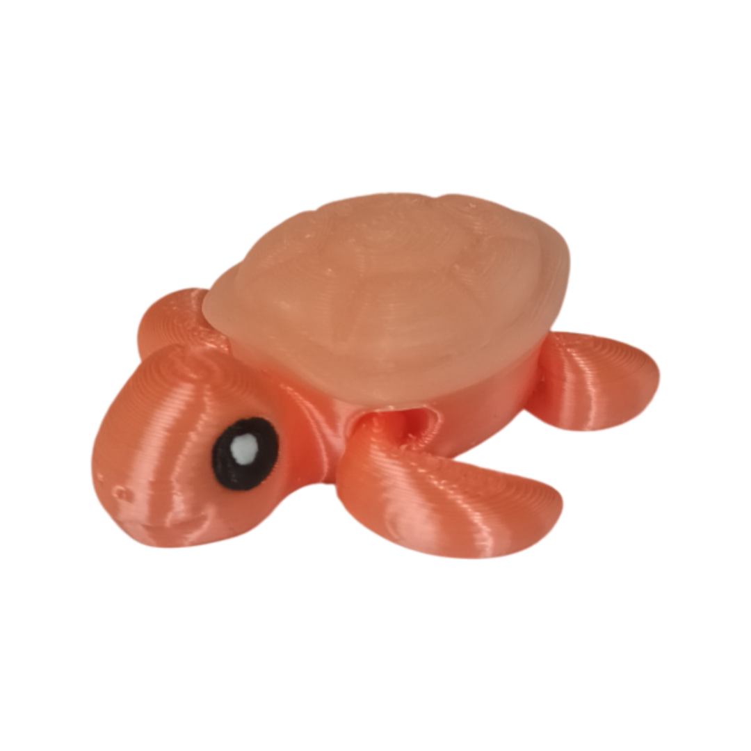 20250923_105602 Tortue