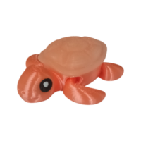 20250923_105602 Tortue