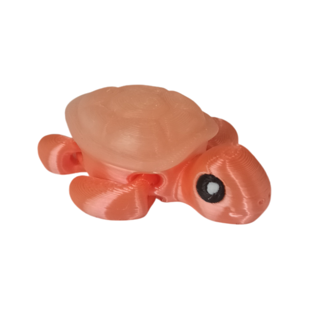 20250923_105606 Tortue Wigzzy.