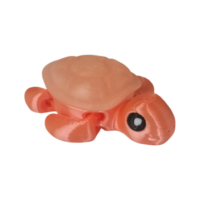 20250923_105606 Tortue Wigzzy.