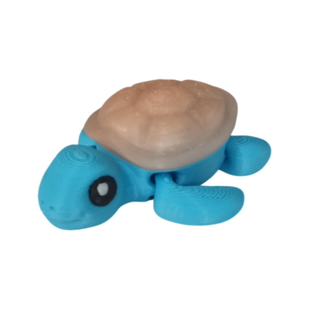 20250923_105613 Tortue Wigzzy.