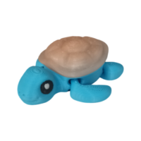 20250923_105613 Tortue Wigzzy.