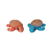 20250923_105657 Tortue