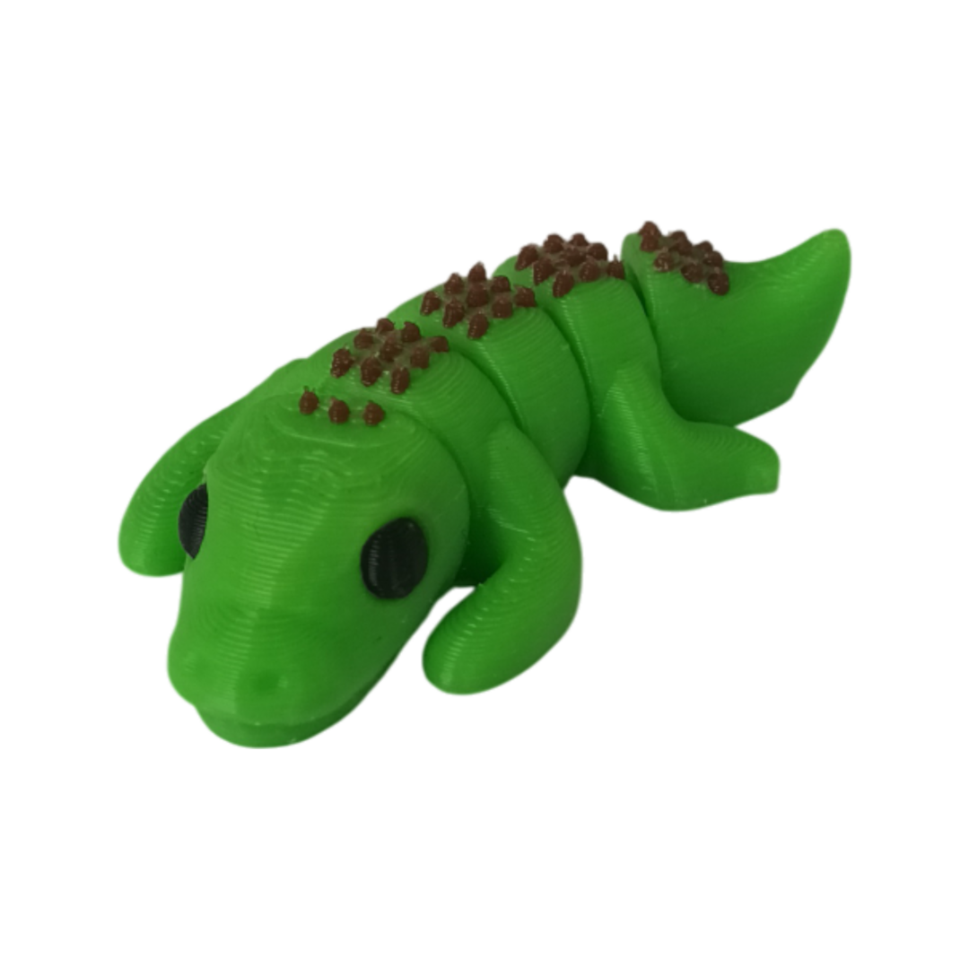 20250923_105934 Crocodile