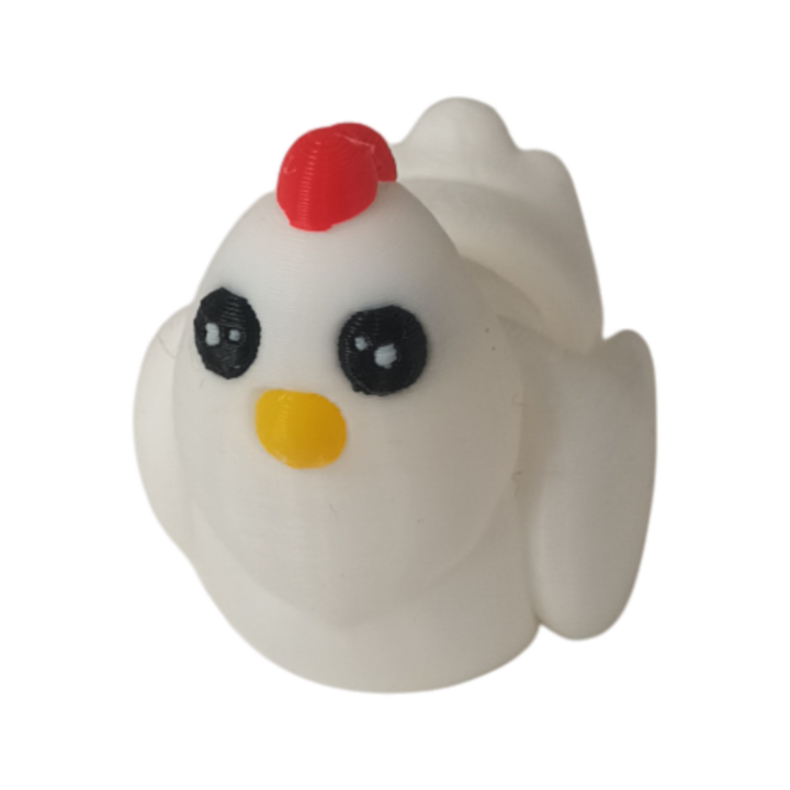 20250923_110403 Poule