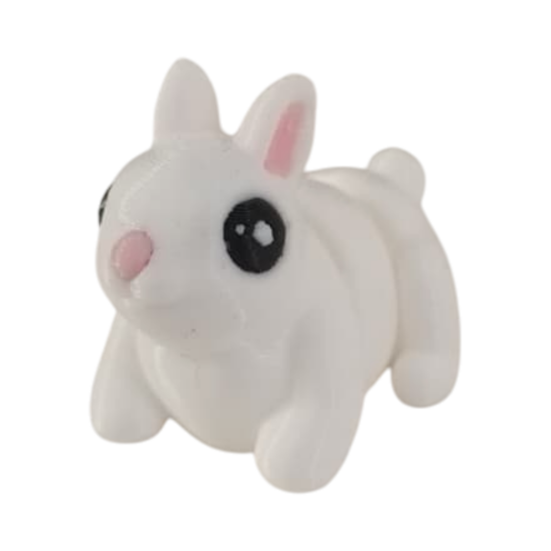 IMG-20251105-WA0023 Lapin