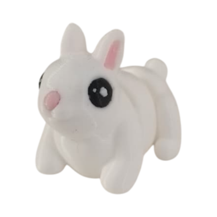 IMG-20251105-WA0023 Lapin