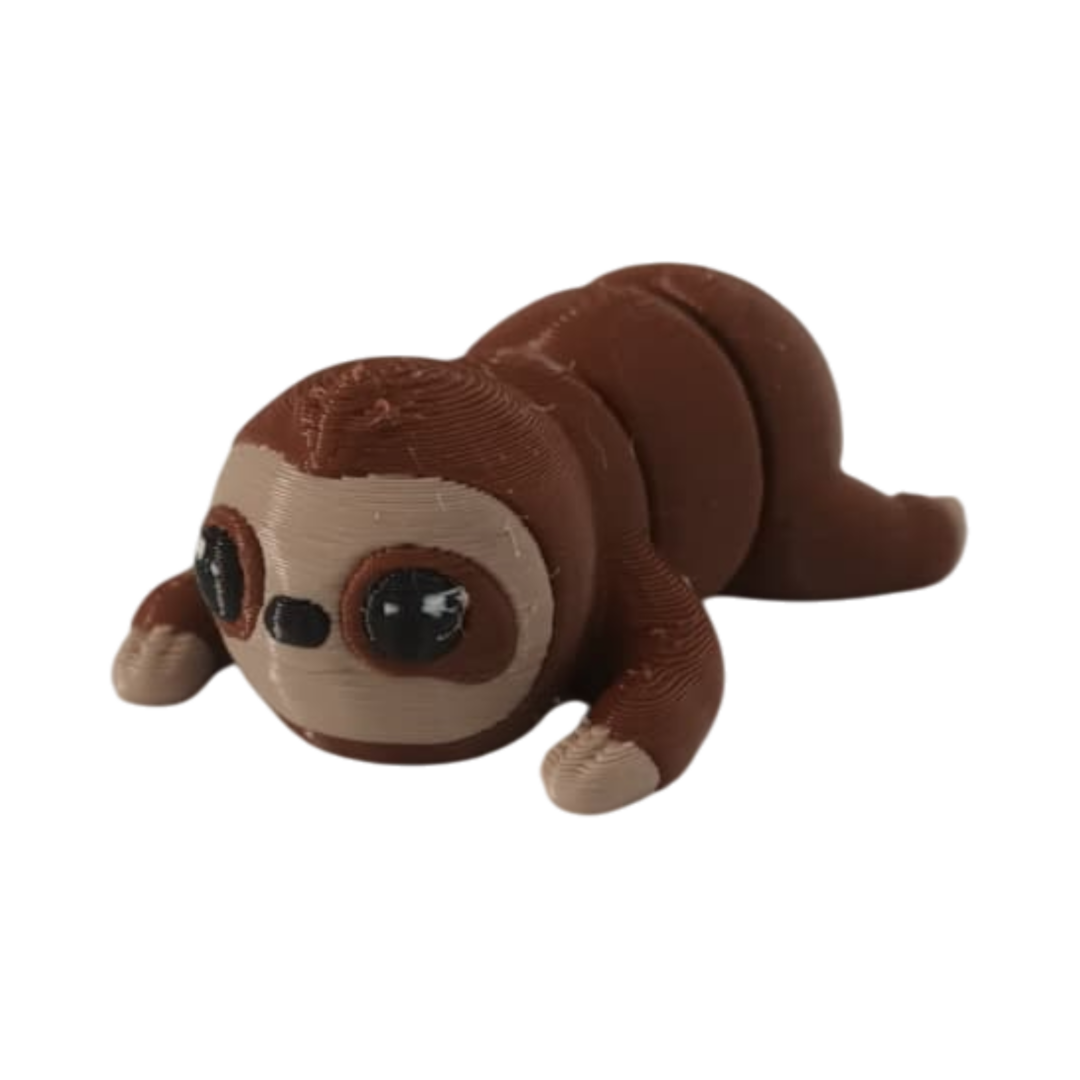 IMG-20251105-WA0025 Paresseux