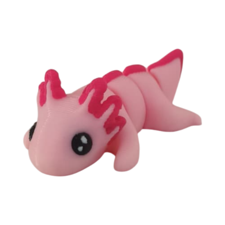 IMG-20251105-WA0040 Axolotl