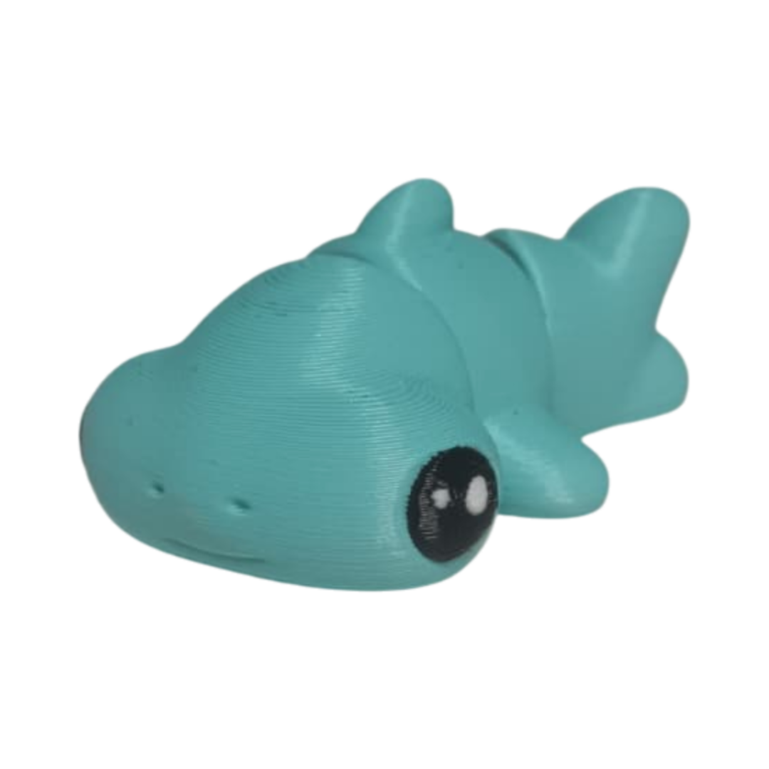 IMG-20251105-WA0052 Requin Marteau