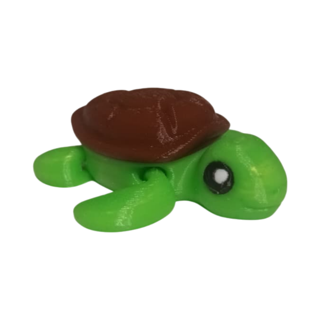 IMG-20251105-WA0053 Tortue