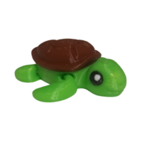 IMG-20251105-WA0053 Tortue