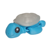 IMG-20251105-WA0054 Tortue