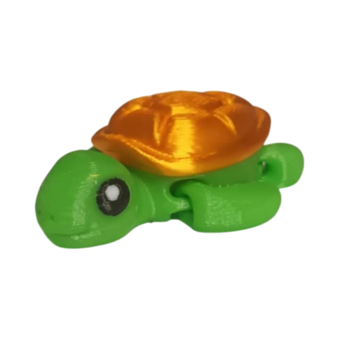 IMG-20251105-WA0073 Tortue