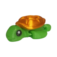 IMG-20251105-WA0073 Tortue