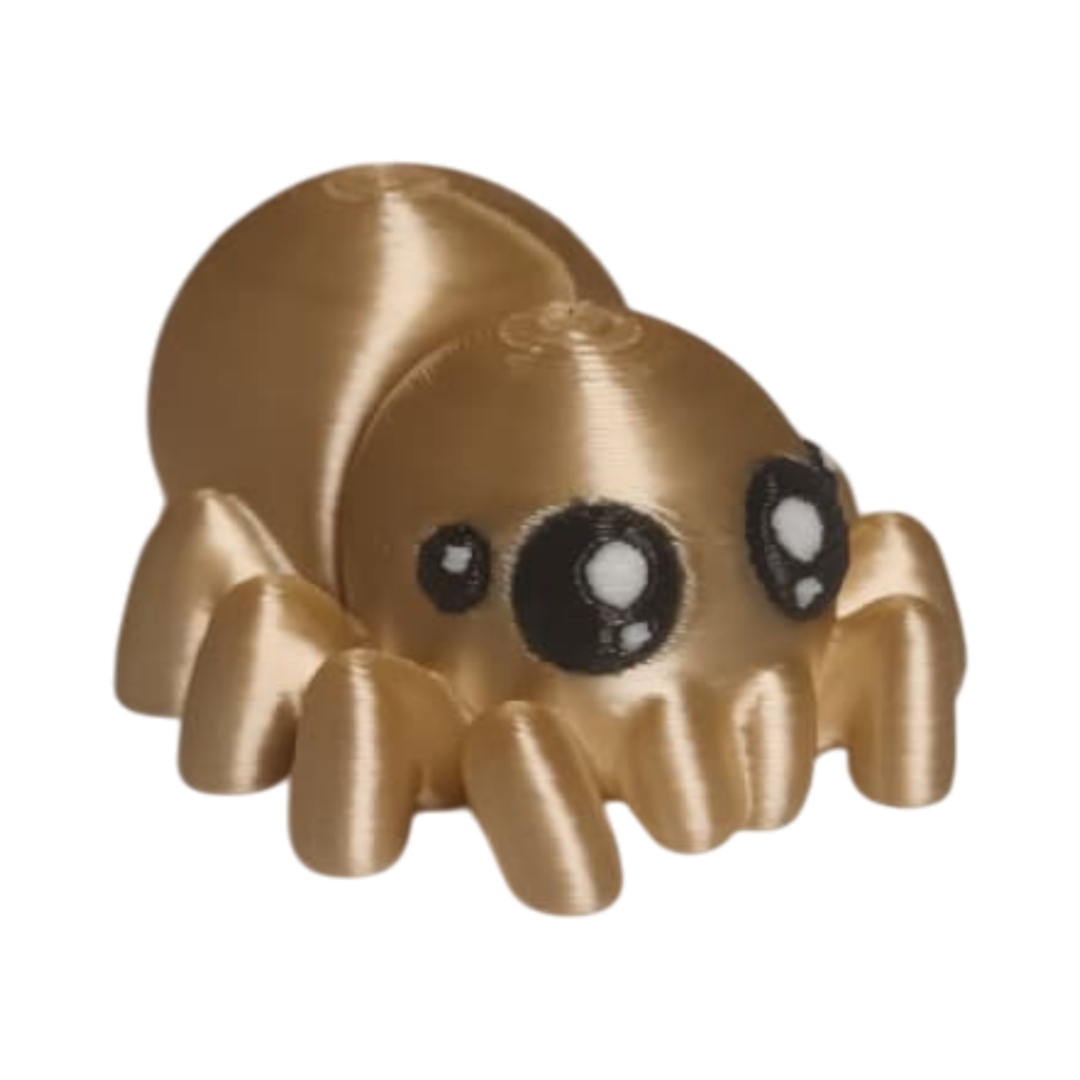 IMG-20251105-WA0074 Araignée