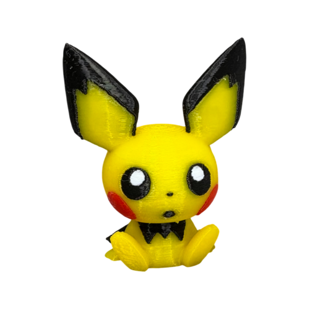 IMG_1009 Mini Pichu