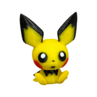 IMG_1009 Mini Pichu