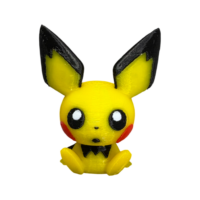 IMG_1010 Mini Pichu