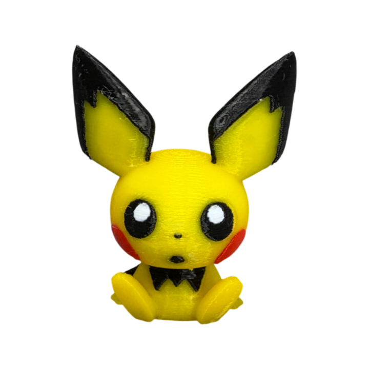 IMG_1010 Mini Pichu