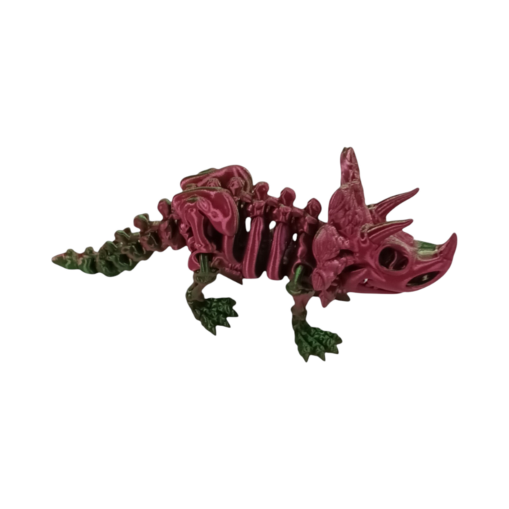 Tricératops by Maxtrim3D (24) Tricératops Wigzzy.