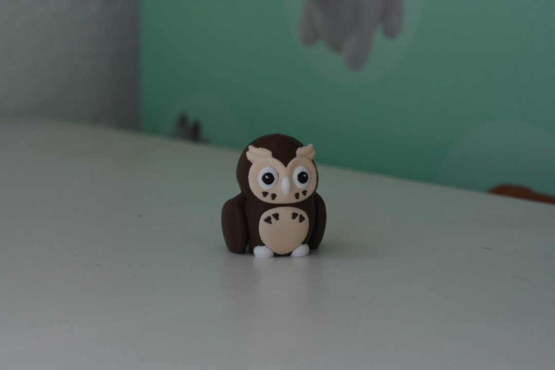 maxtrim-20261001-hibou Houby (Hibou)